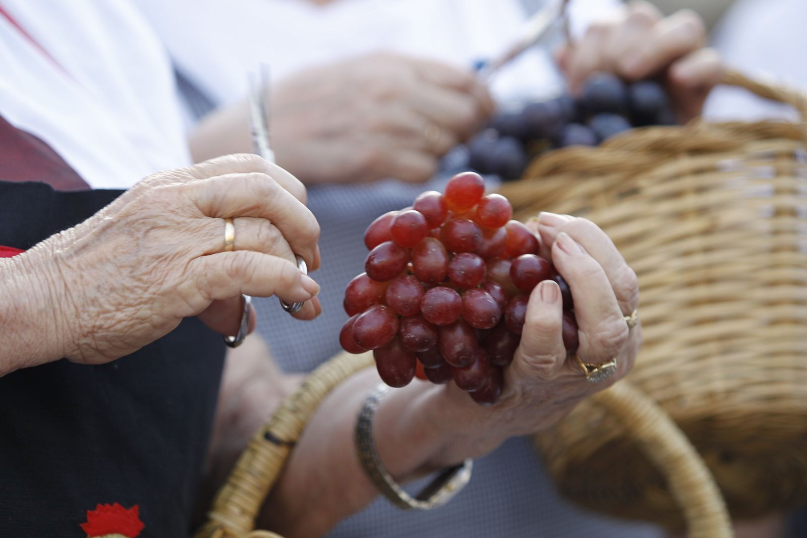 Fotogalería 42º Festival de Teatro de El Ejido