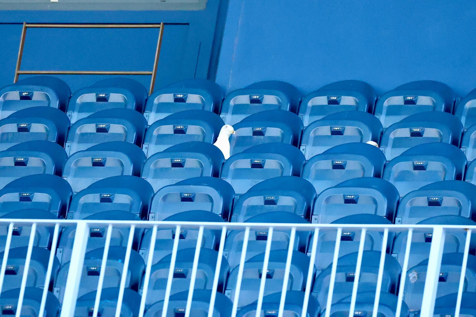 El Málaga Femenino - Femarguín, en fotos