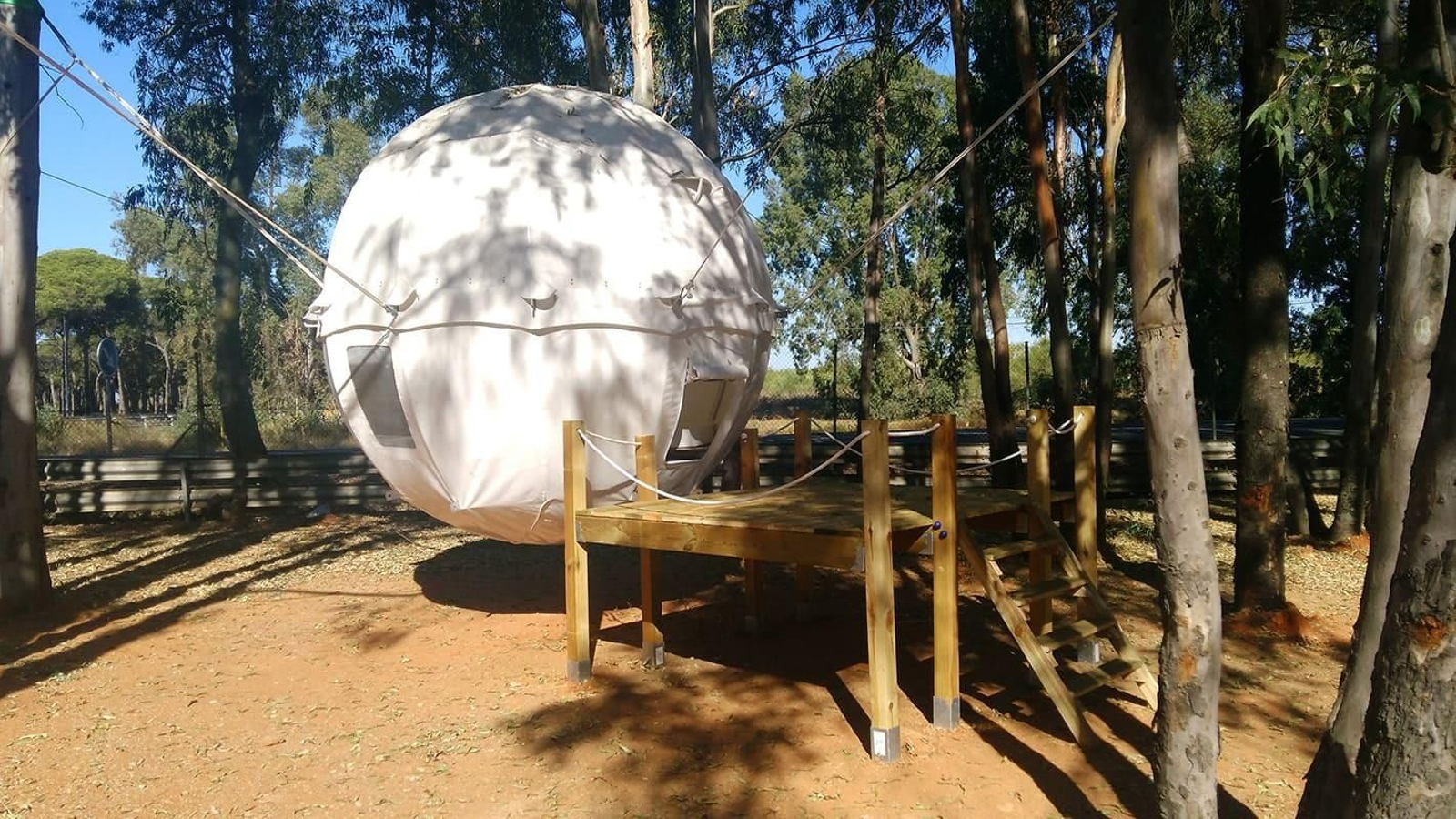 Cocoon tree bed