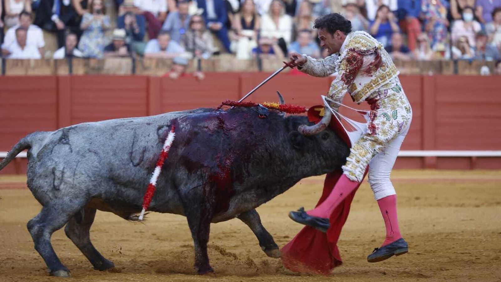 El toro le rompe la taleguilla a Ferrera.