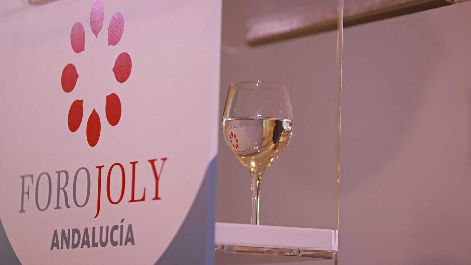 Las mejores fotos del Foro Joly con Juan Bravo