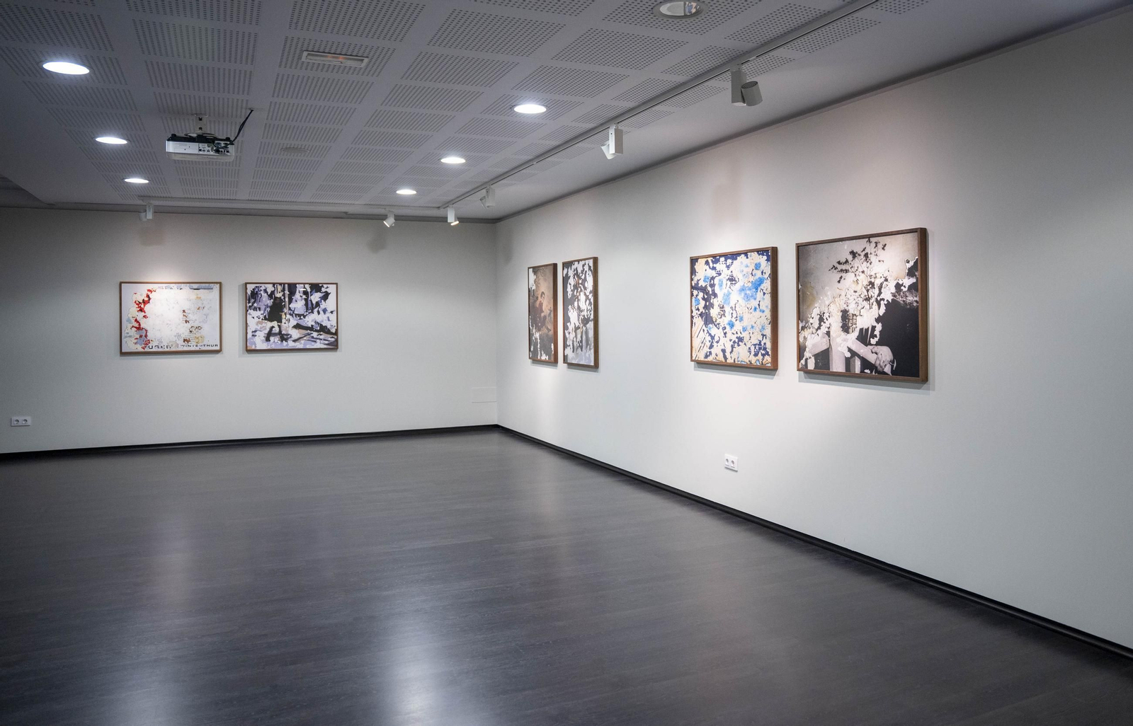 El comisario Sema D'Acosta y el artista Joan Fontcuberta presentan la exposición Háptica de la Fundación Unicaja