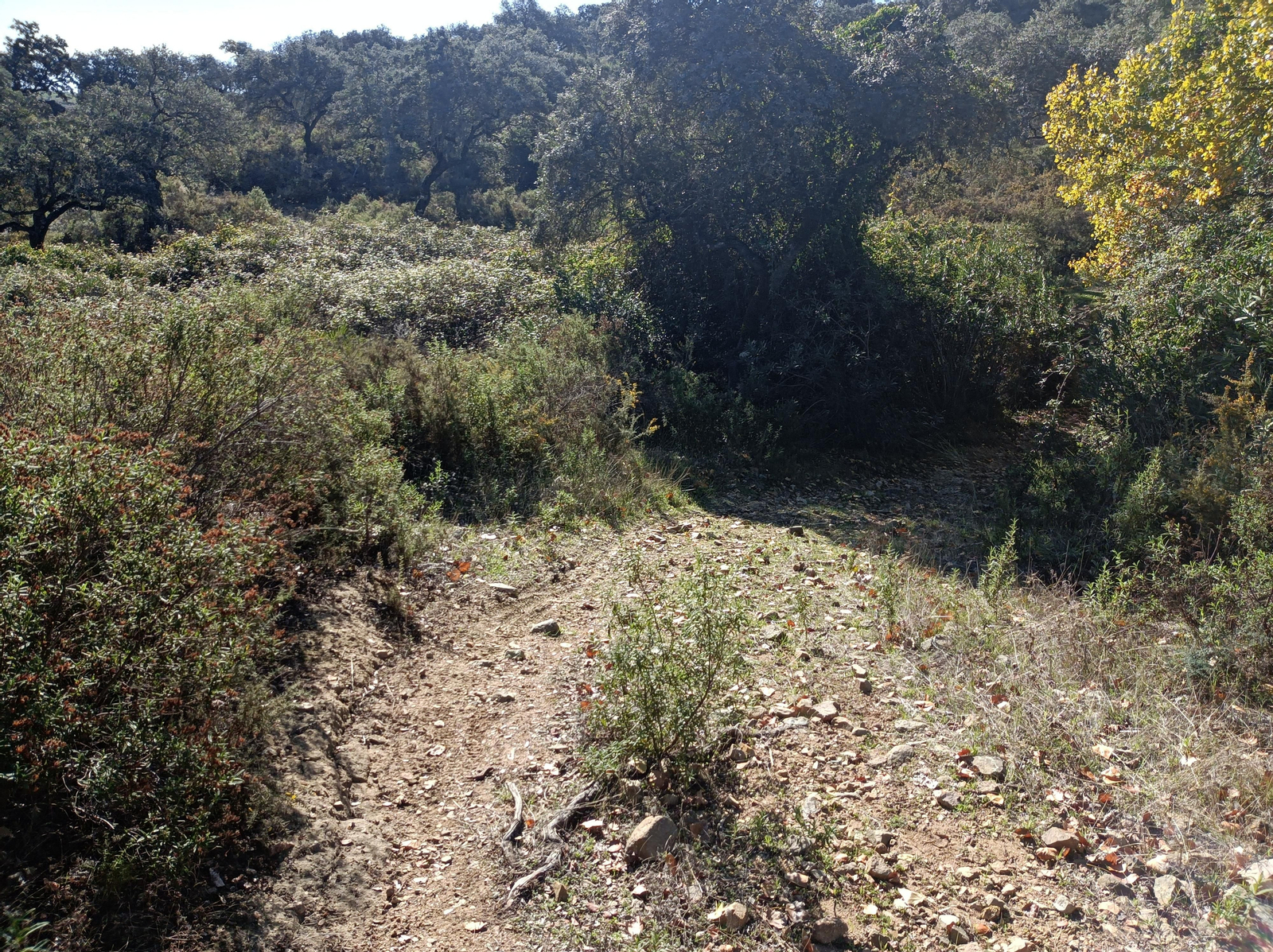 Ruta de Las Cañadillas