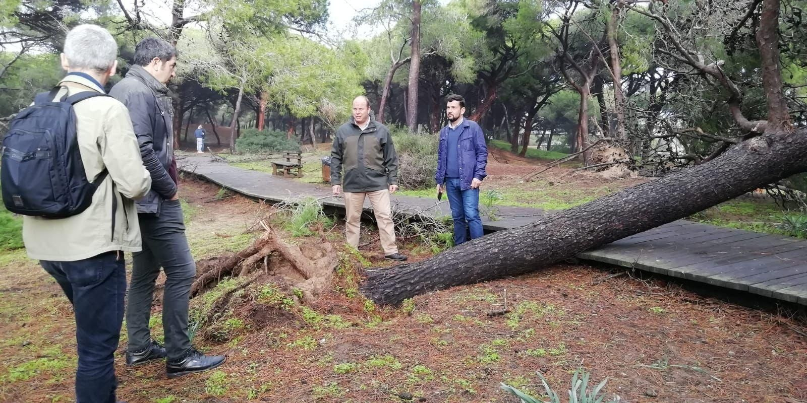 La visita de la Junta y el Ayuntamiento a los pinares de Rota para comprobar los datos ocasionados por el tornado.