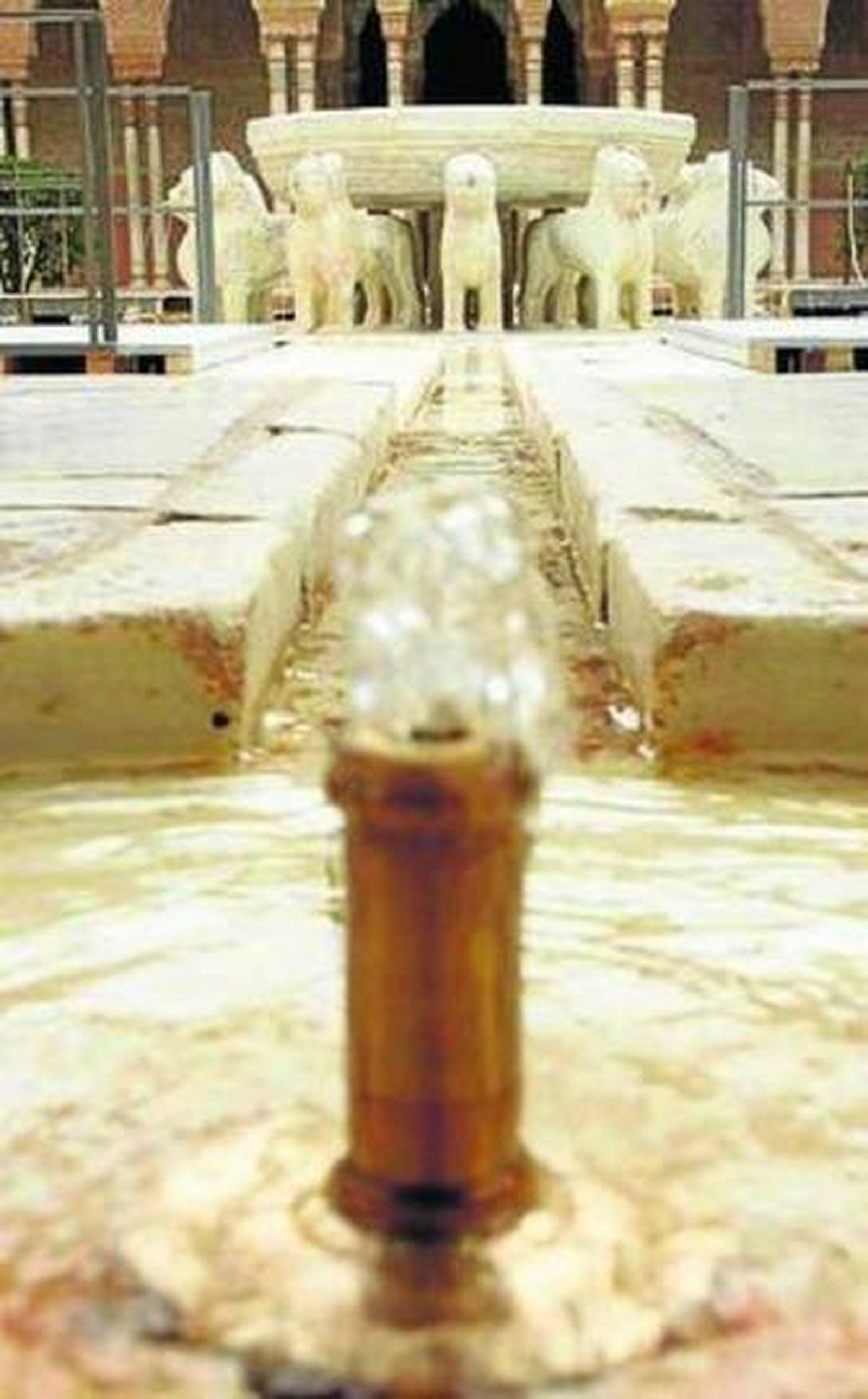 Patio de los Leones.