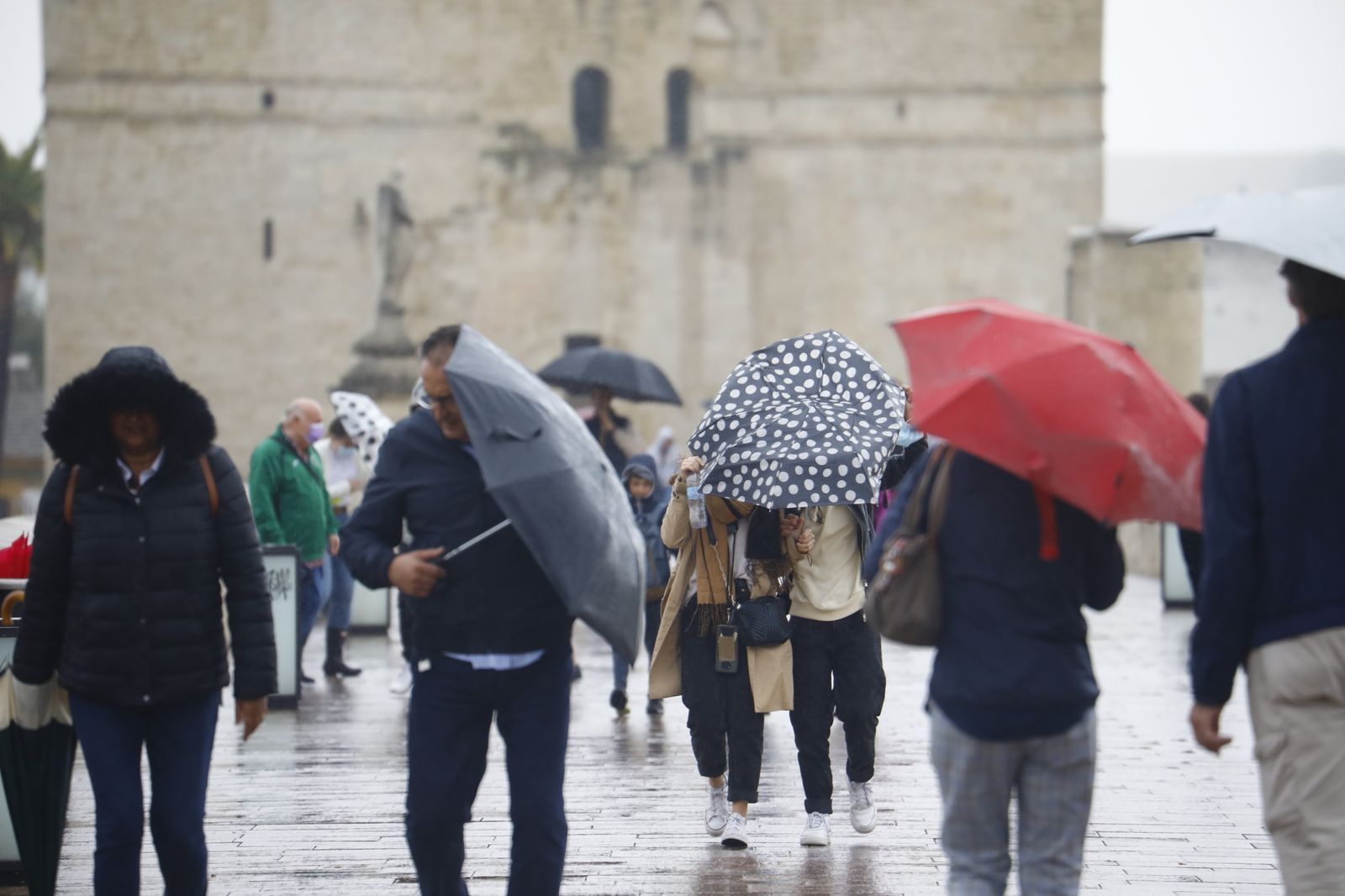 Las fotografías del regreso de la lluvia a Córdoba en pleno puente de Todos los Santos