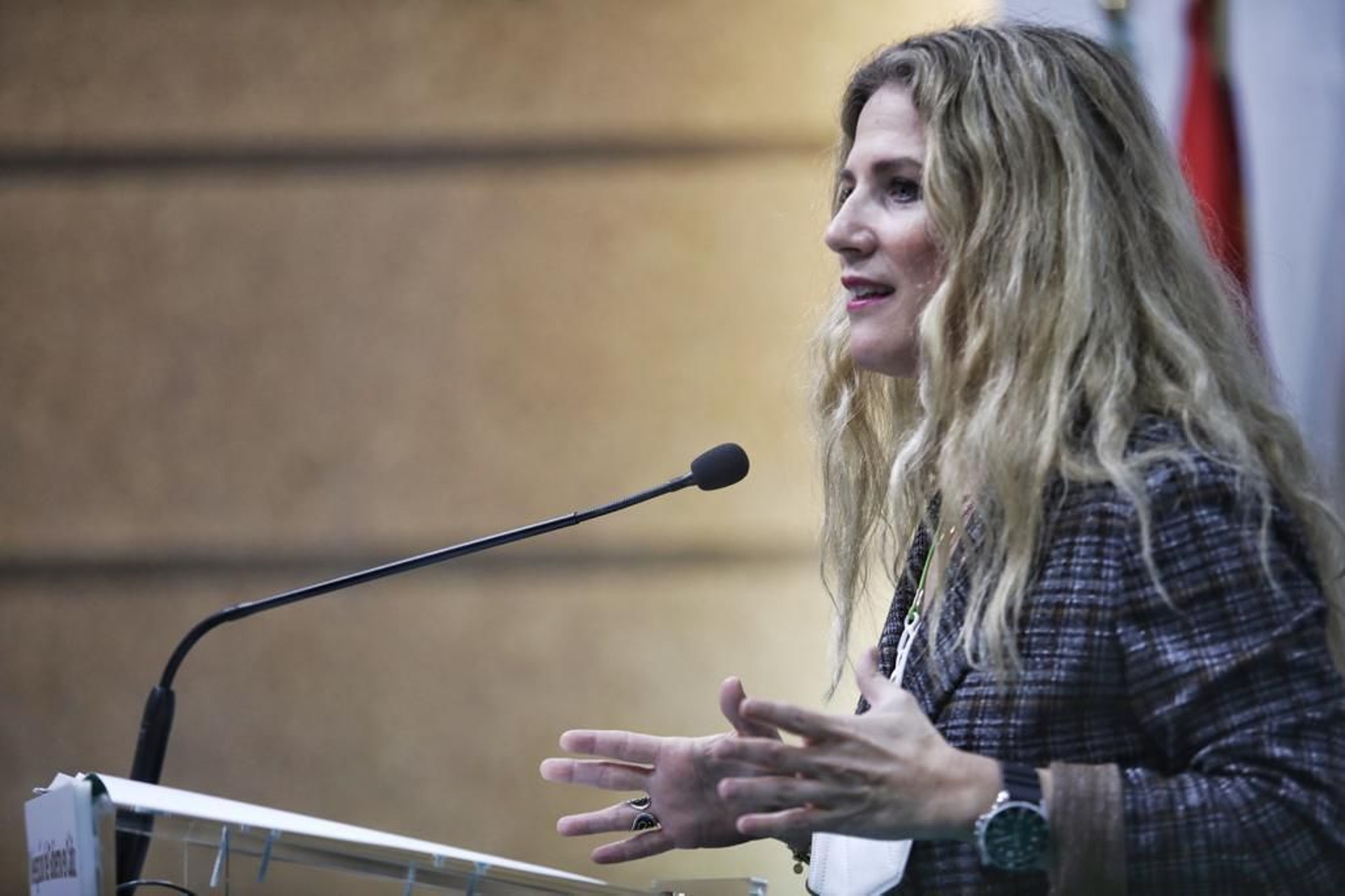 Ana Mestre, delegada de la Junta en Cádiz durante la rueda de prensa.