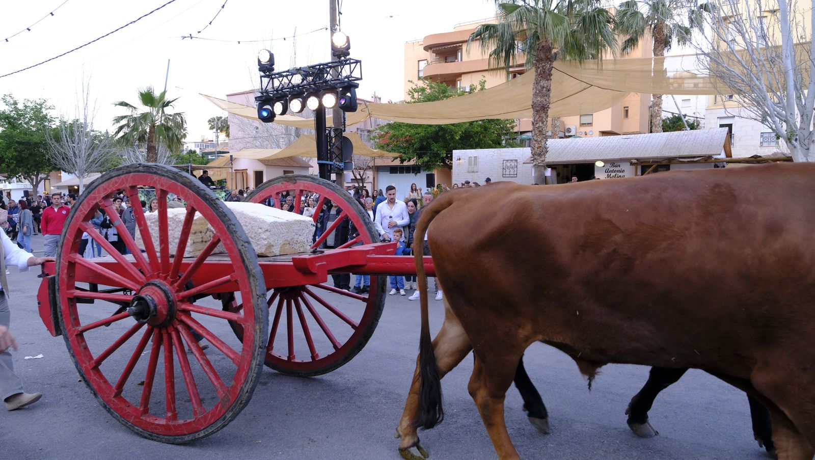 Las mejores imágenes de la recreación histórica Canteros y Caciques, en Macael