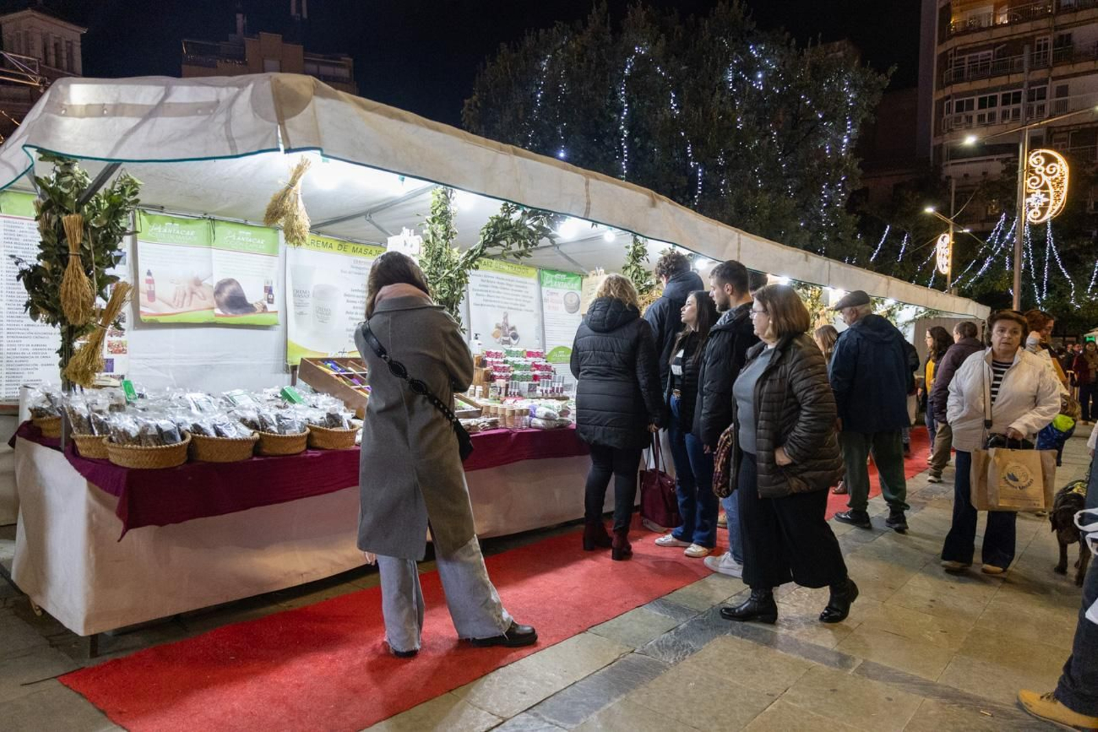 Iluminación navideña de la calle Bernabé Soriano