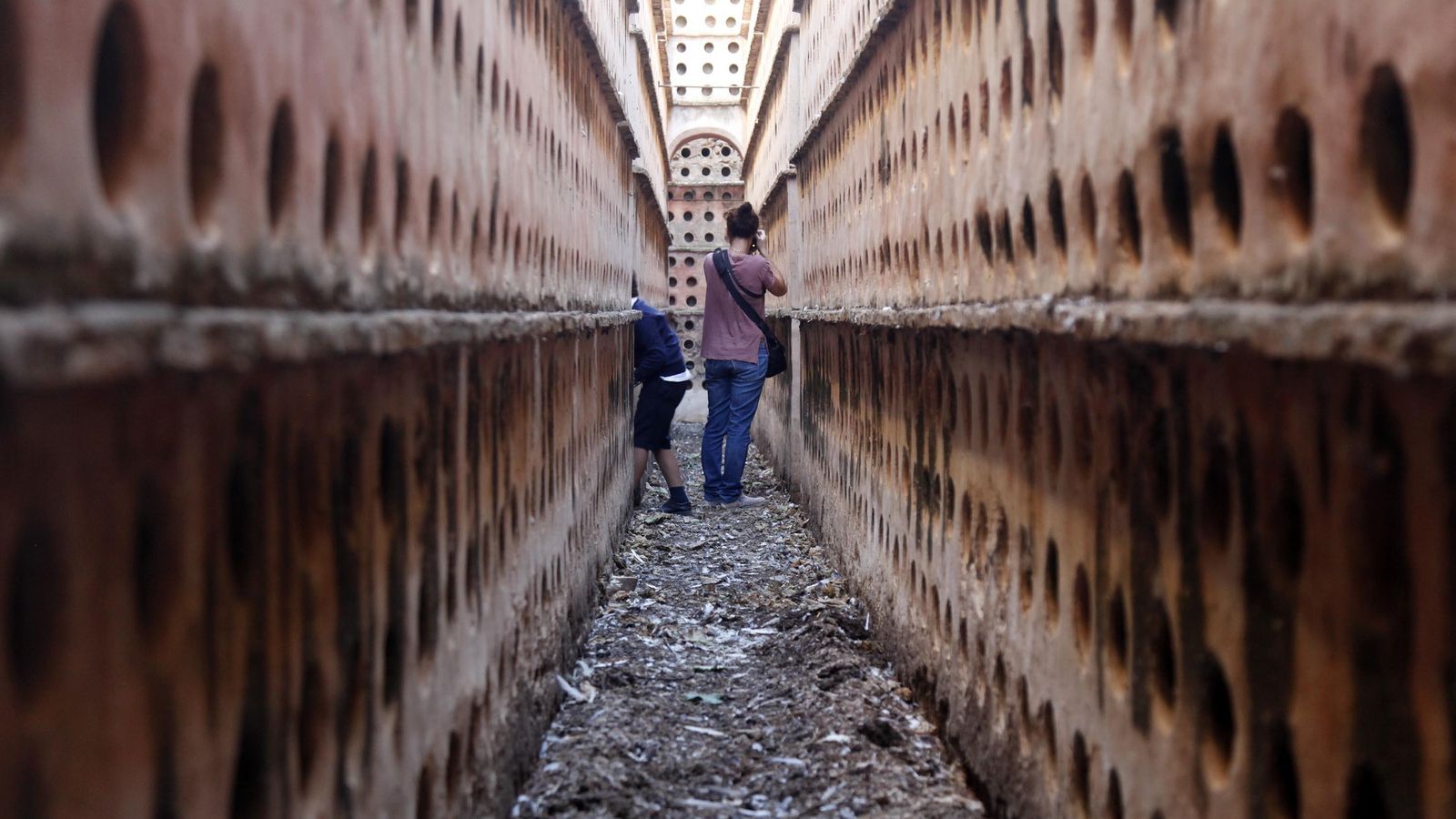 Una de las calles del palomar de la Huerta Noble