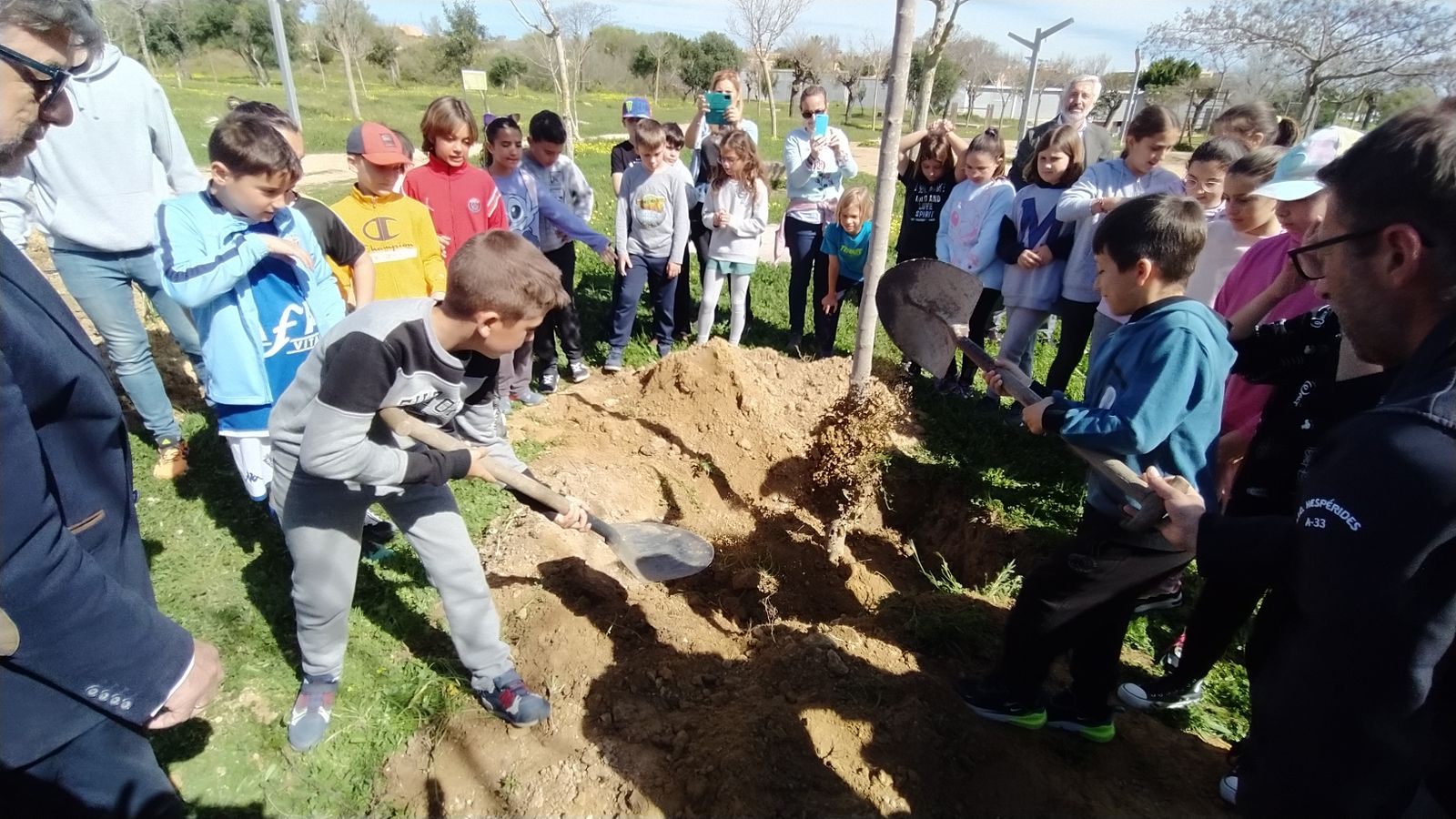 Así ha sido la plantación de árboles en el Cerro por alumnos del colegio Camposoto