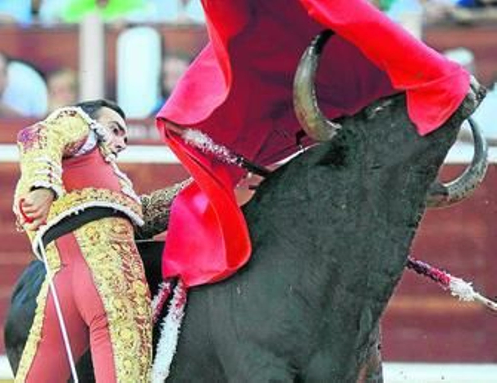 El Cid, en un espectacular pase de pecho en la plaza de toros de Albacete.