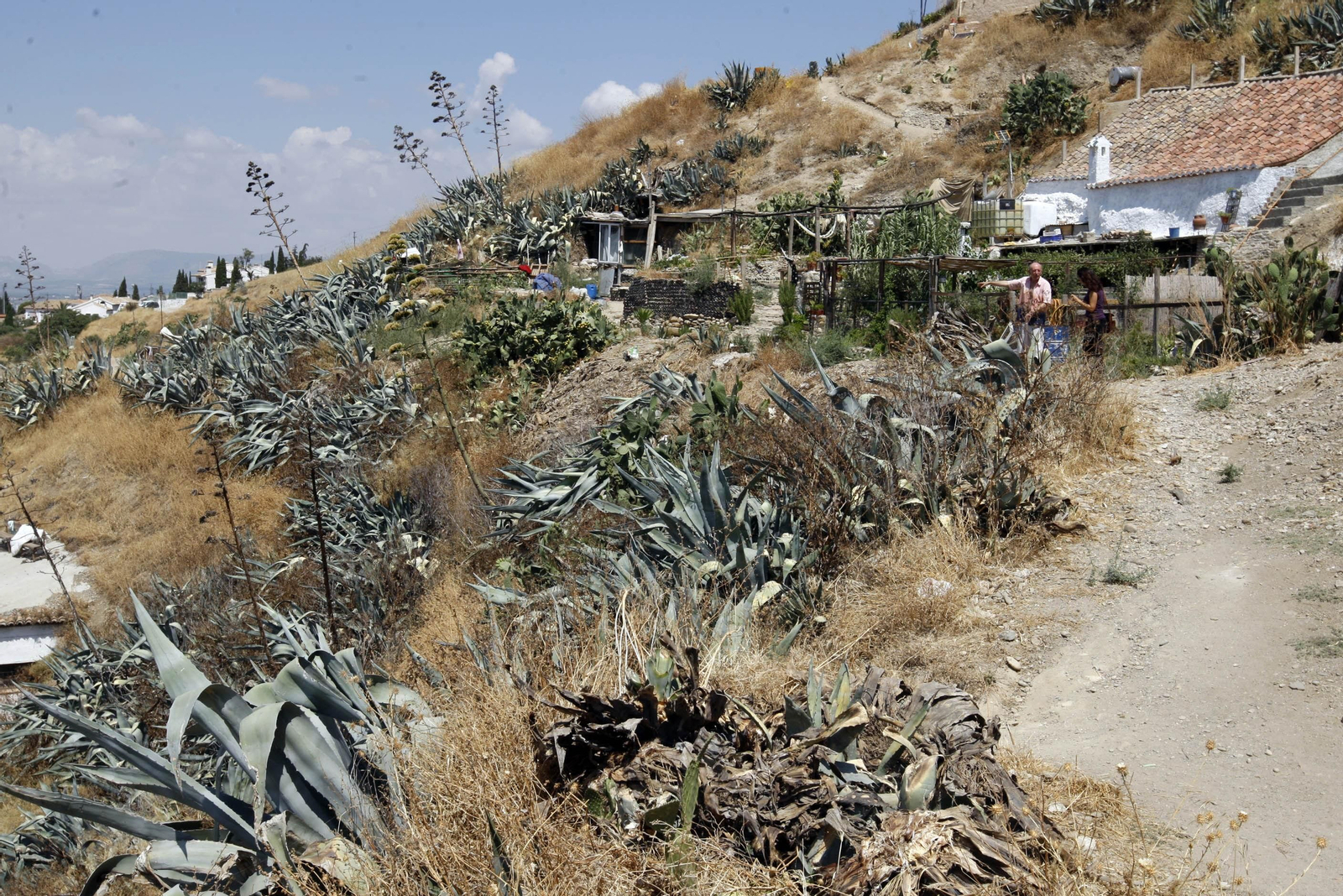 Cuevas en Granada: ¿casas o agujeros para ocupar?