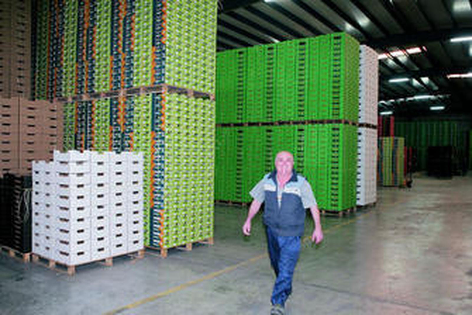 La nave ubicada en Vícar se amplió con el paso de los años, pasando desde los 2.000 metros iniciales a los 18.000 actuales.