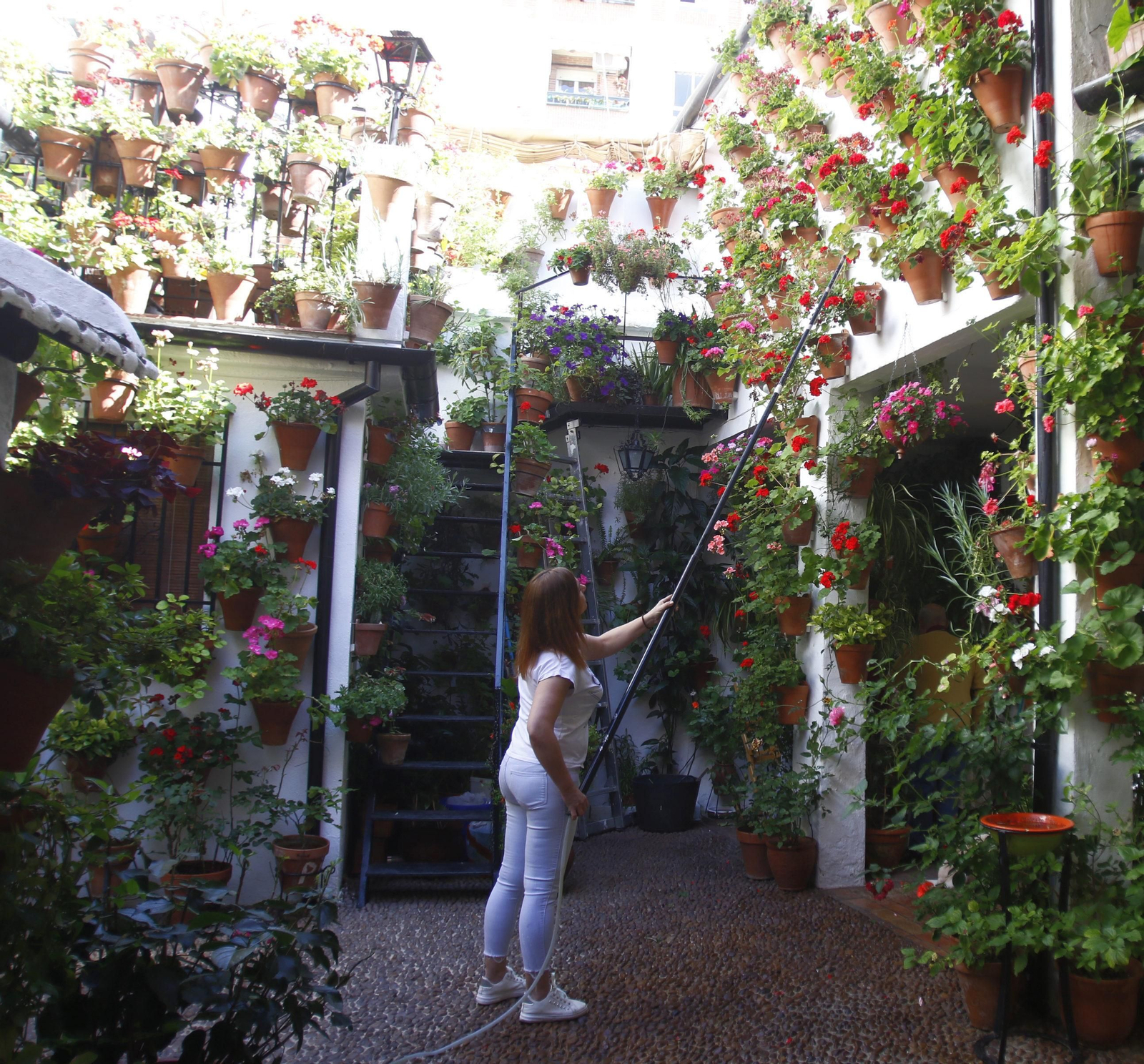 Las fotos de los patios en tiempos de crisis