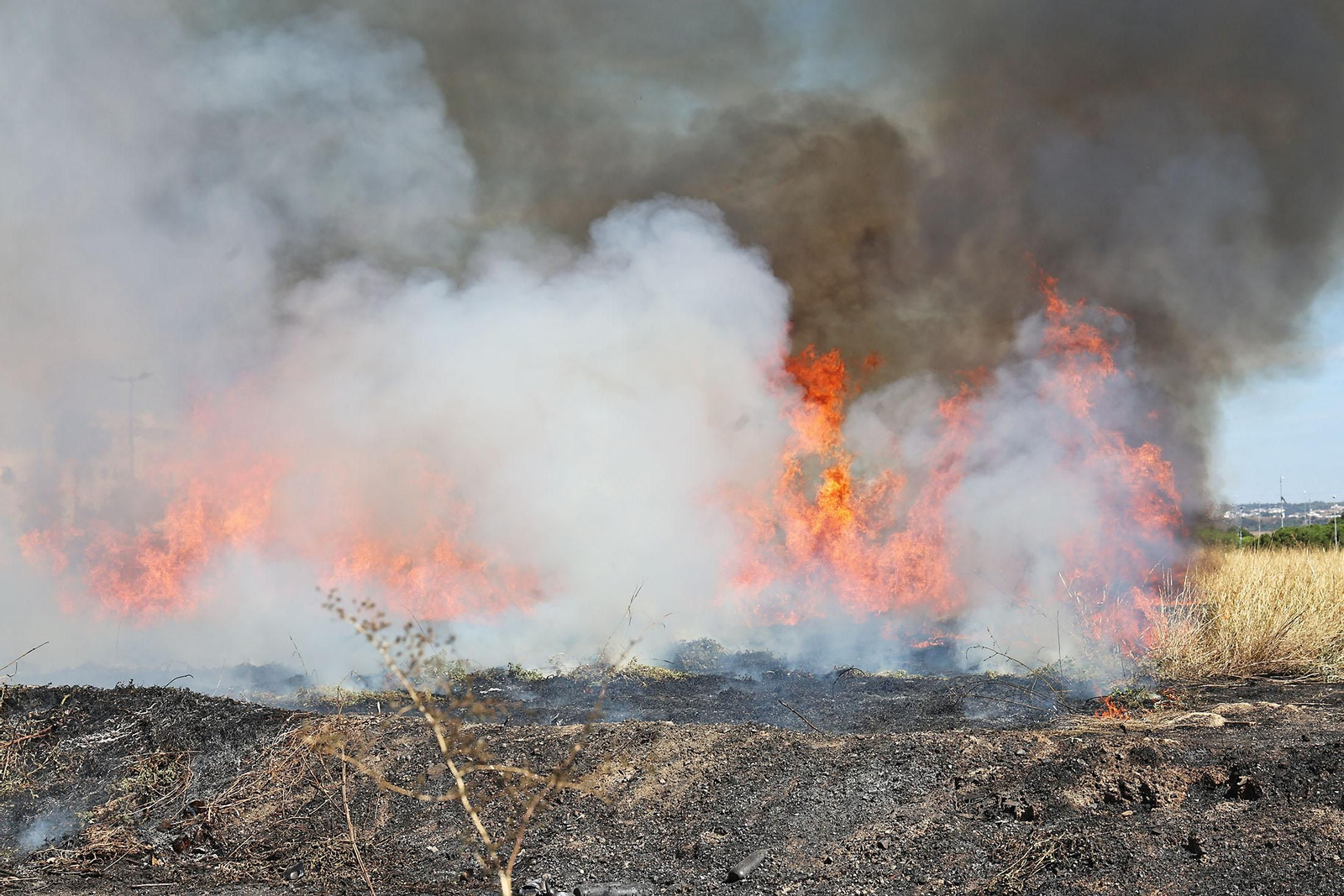 Imágenes del incendio junto al Hospital Juan Ramón Jiménez y el campo de fútbol de El Torrejón en Huelva