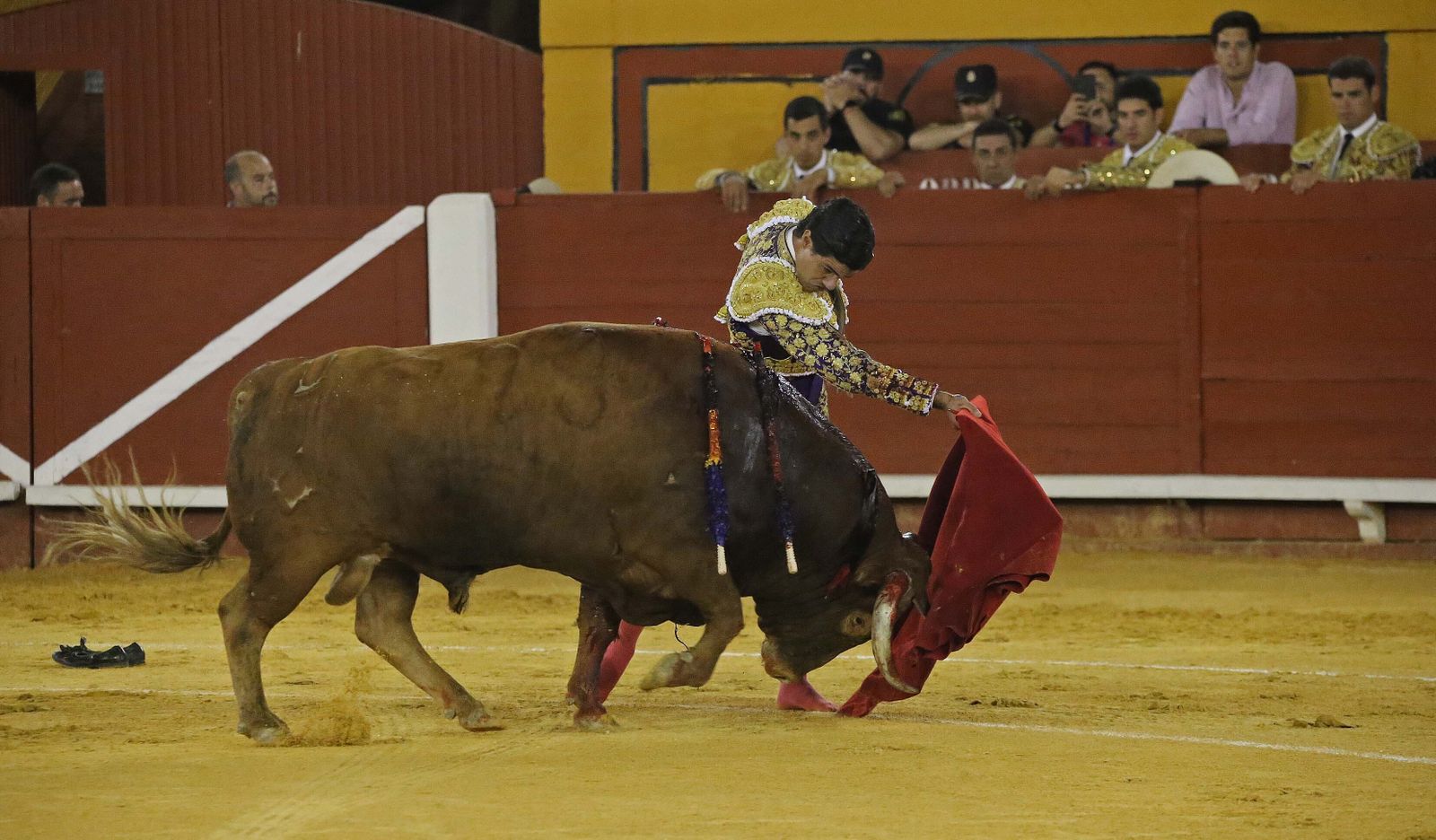 Fotos de la corrida del jueves de la Feria Taurina de Algeciras 2023:  Salvador Vega, Roca Rey y Pablo Aguado