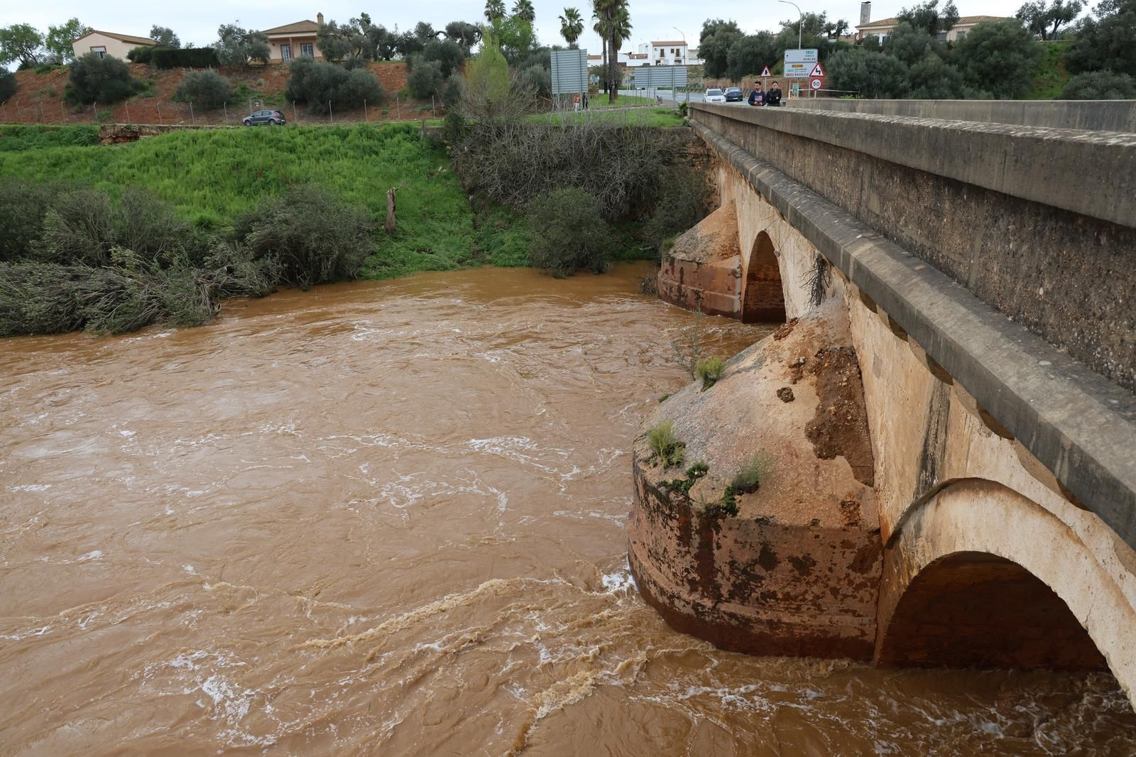 Imágenes del río Tinto a su paso por Niebla tras la borrasca Laurence