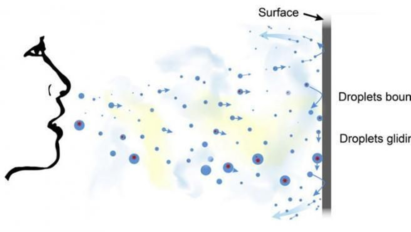 Crean un revestimiento adhesivo con acondicionador de pelo que podría atrapar aerosoles del Covid