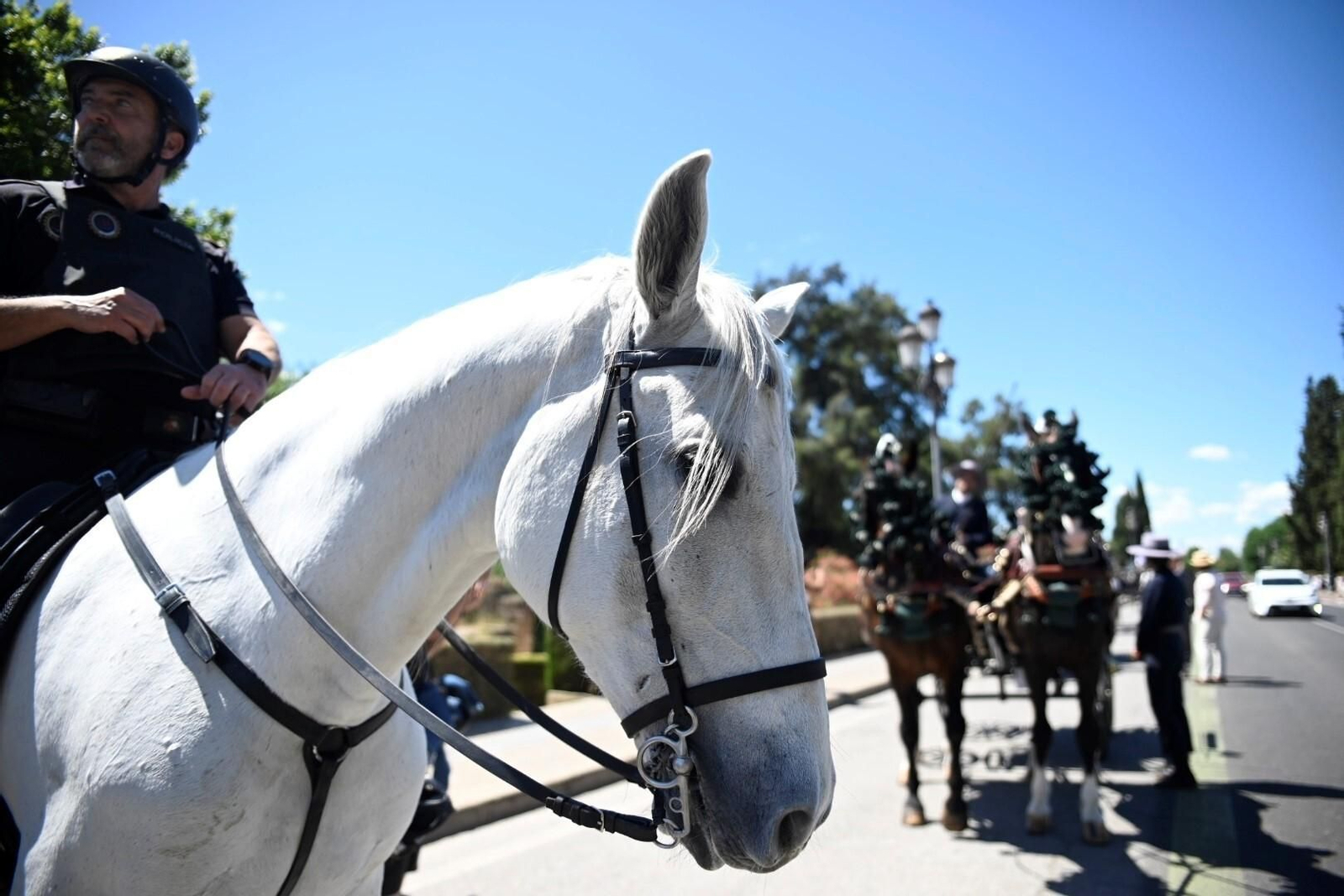 La exhibición de carruajes de caballos en la Feria de Córdoba, en imágenes