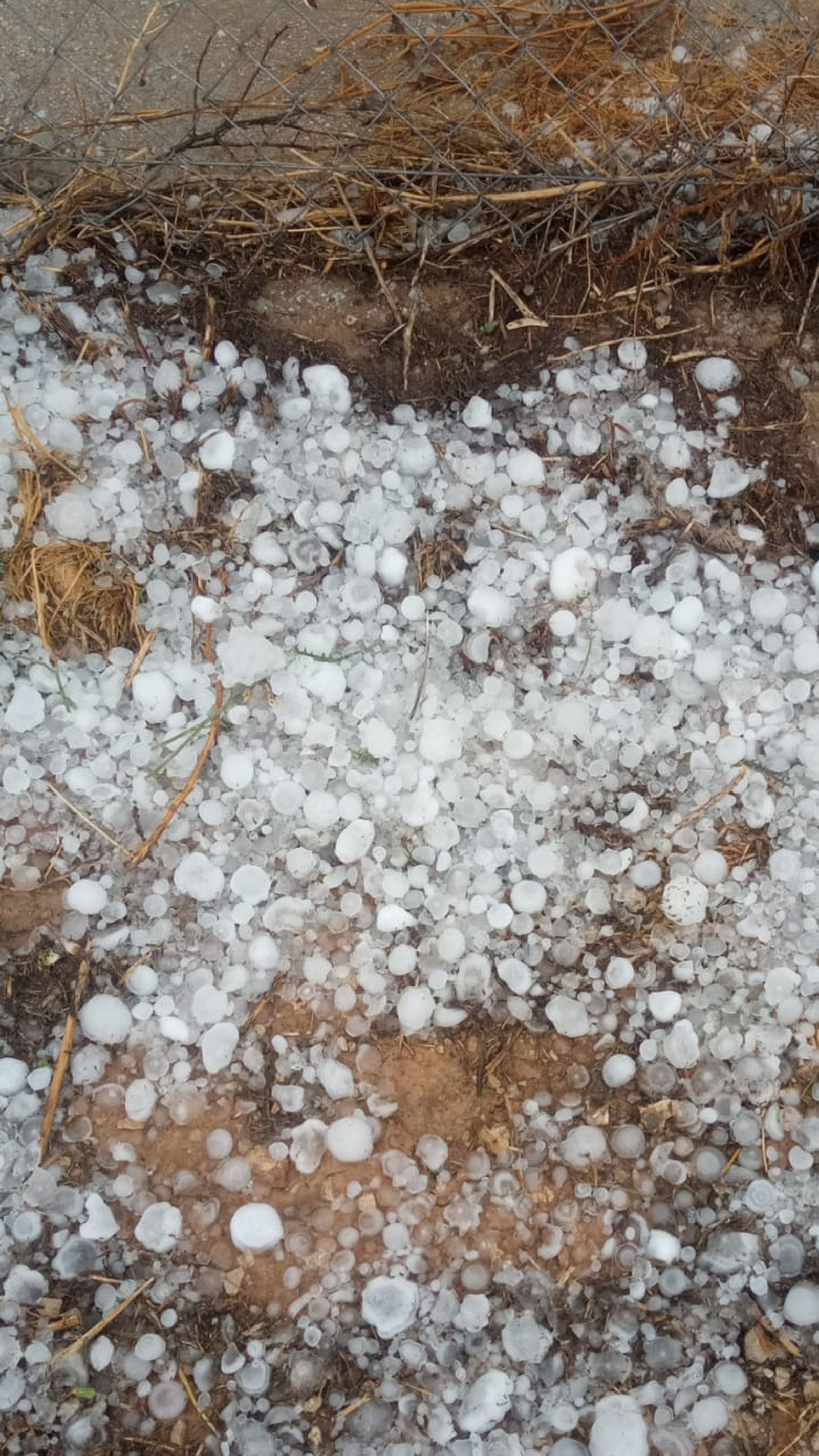 Bolas de granizo caídas en Los Vélez.