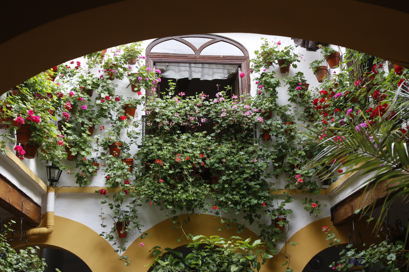 Los Patios de Córdoba en tiempos de crisis: Duque de la Victoria, 3