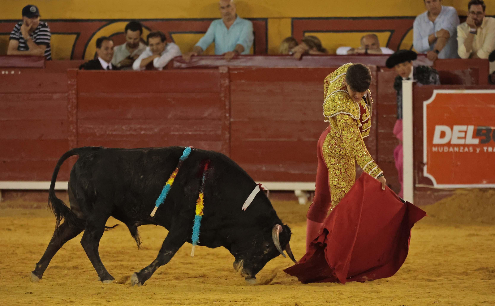 Juanmi Vidal  (1).jpg