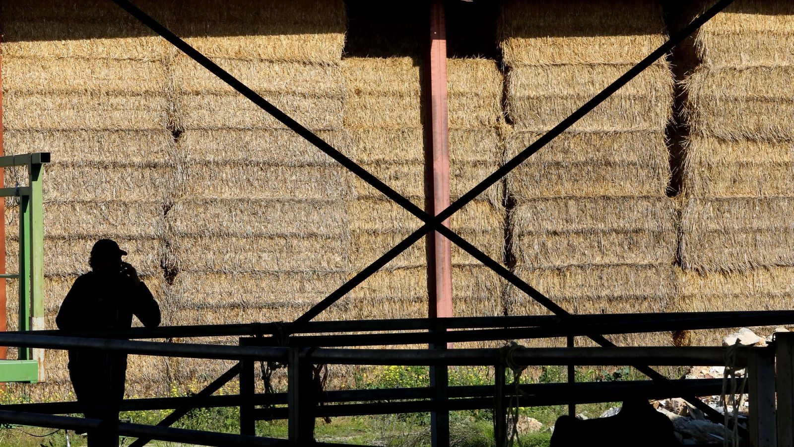 El sector ganadero subraya que no existe una definición exacta de macrogranja.