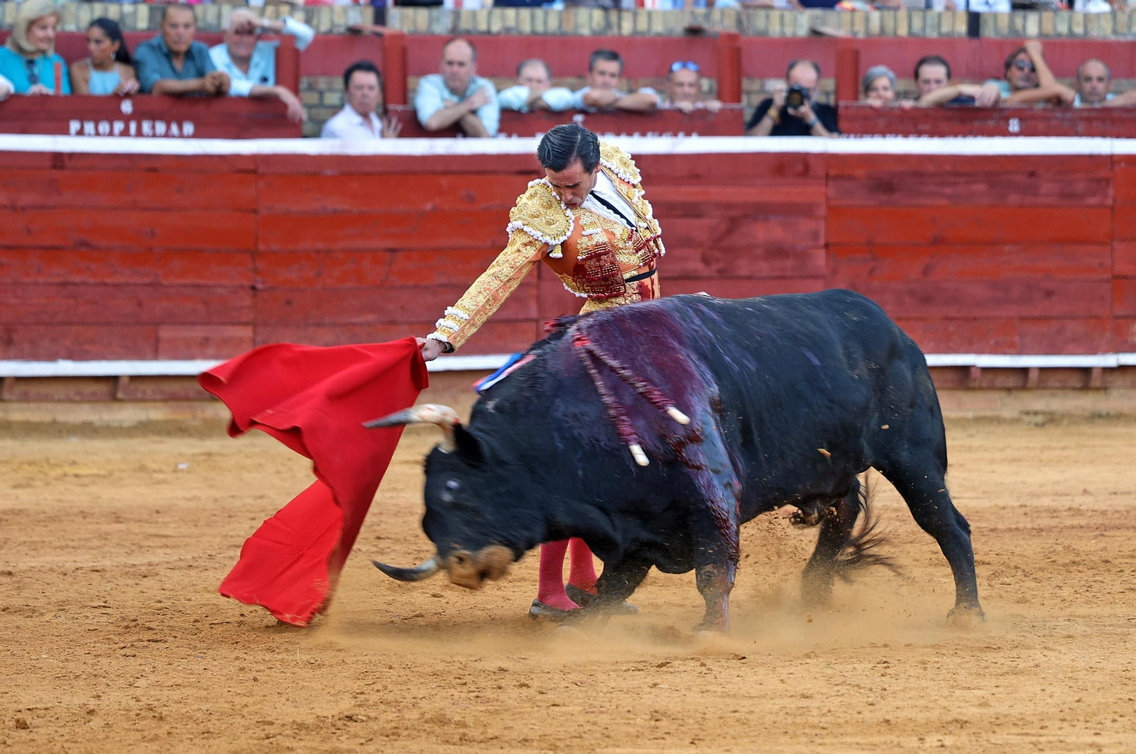 Toros La Merced 2025: Imágenes de la Corrida de Toros de Morante de la Puebla, Daniel Luque y Juan Ortega
