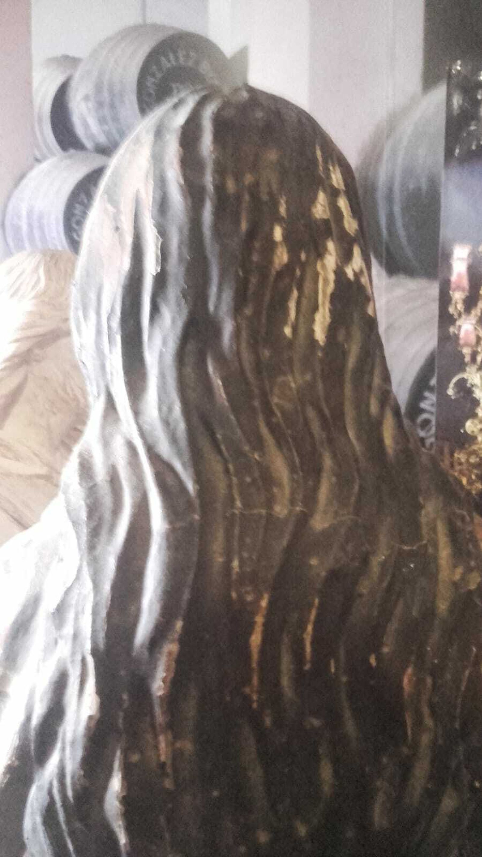 El estado en el que se encontraba el pelo de la talla de Santa María Egipciaca.