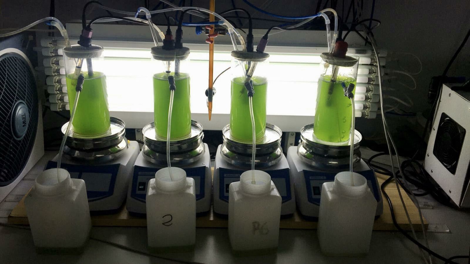 Bioreactores con microalgas.