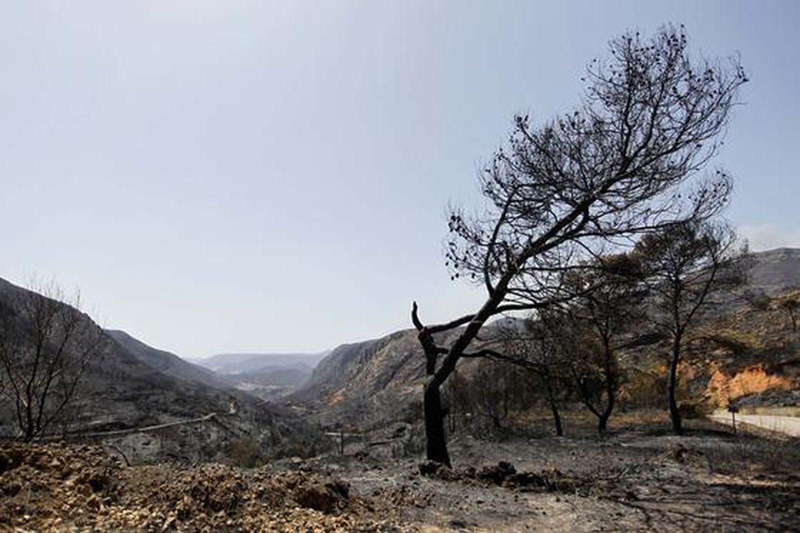 El fuego arrasa miles de hectáreas en comarcas del interior de la provincia de Valencia.

Foto: Reuters