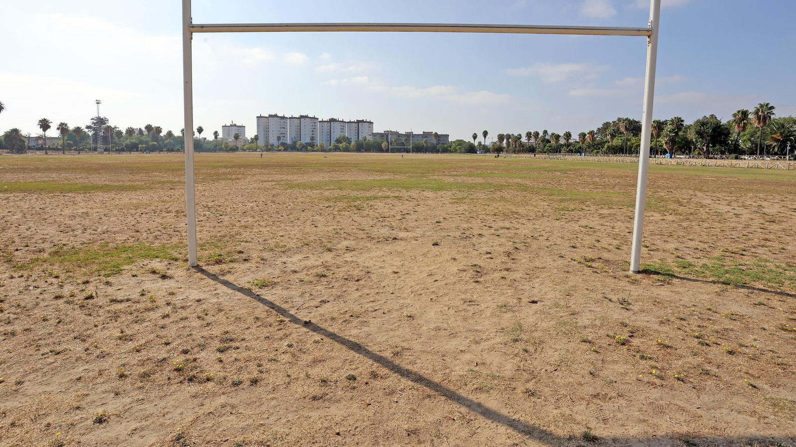 Este es el estado en que se encuentra la Pradera de Chapín en Jerez