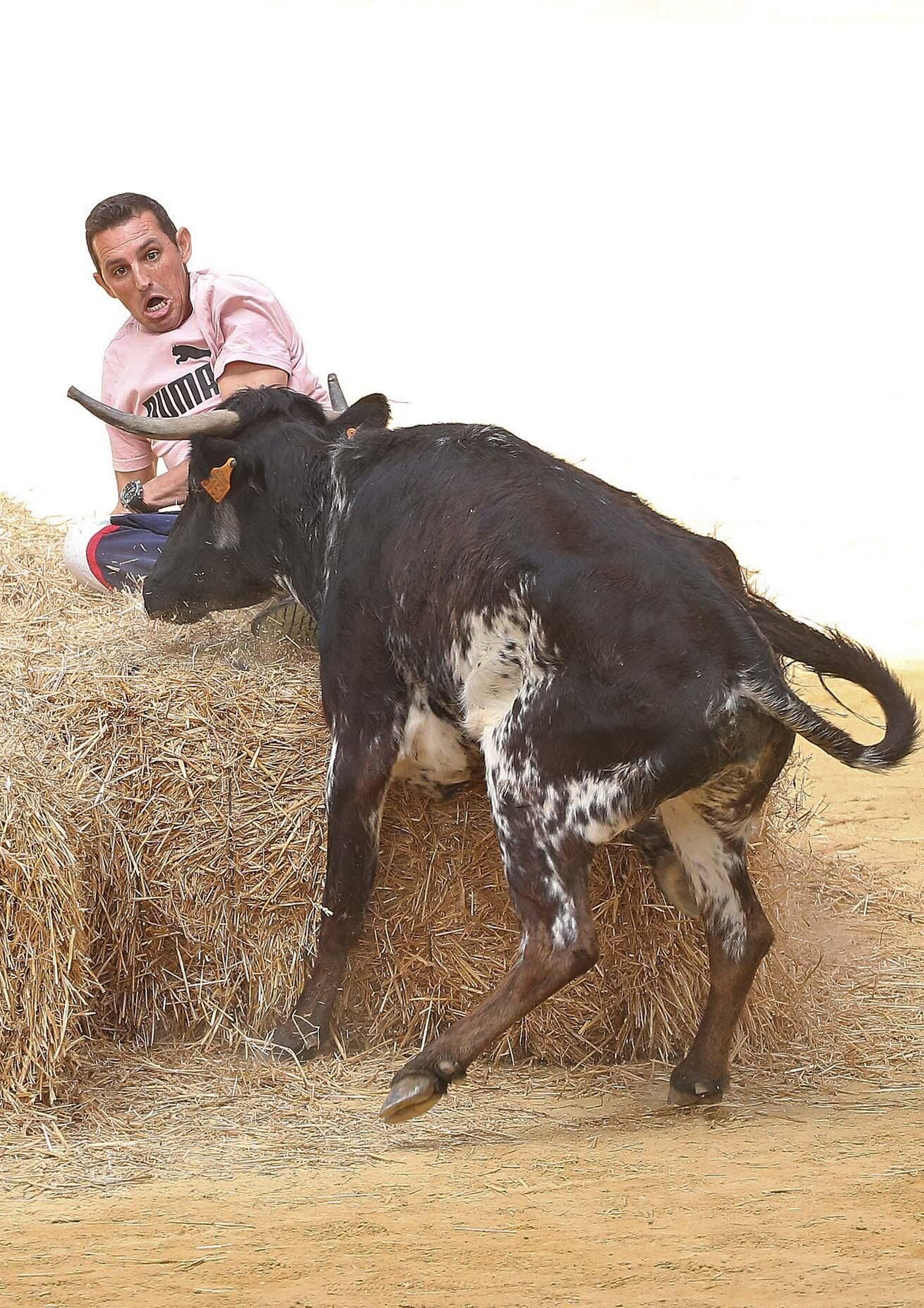 Fotos del Toro Embolao en Los Barrios