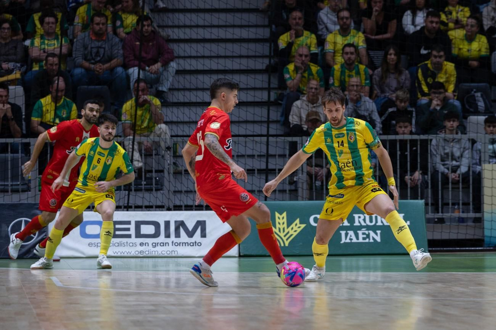 Las mejores imágenes del Jaén Paraíso Interior FS 1 - 1 Jimbee Cartagena