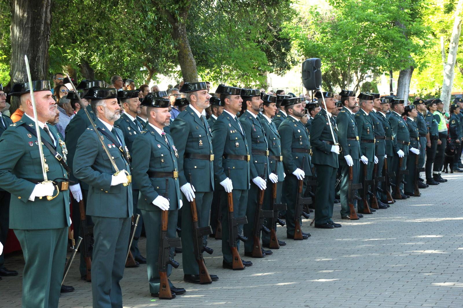 El gran desfile de la Guardia Civil en Montilla, en imágenes