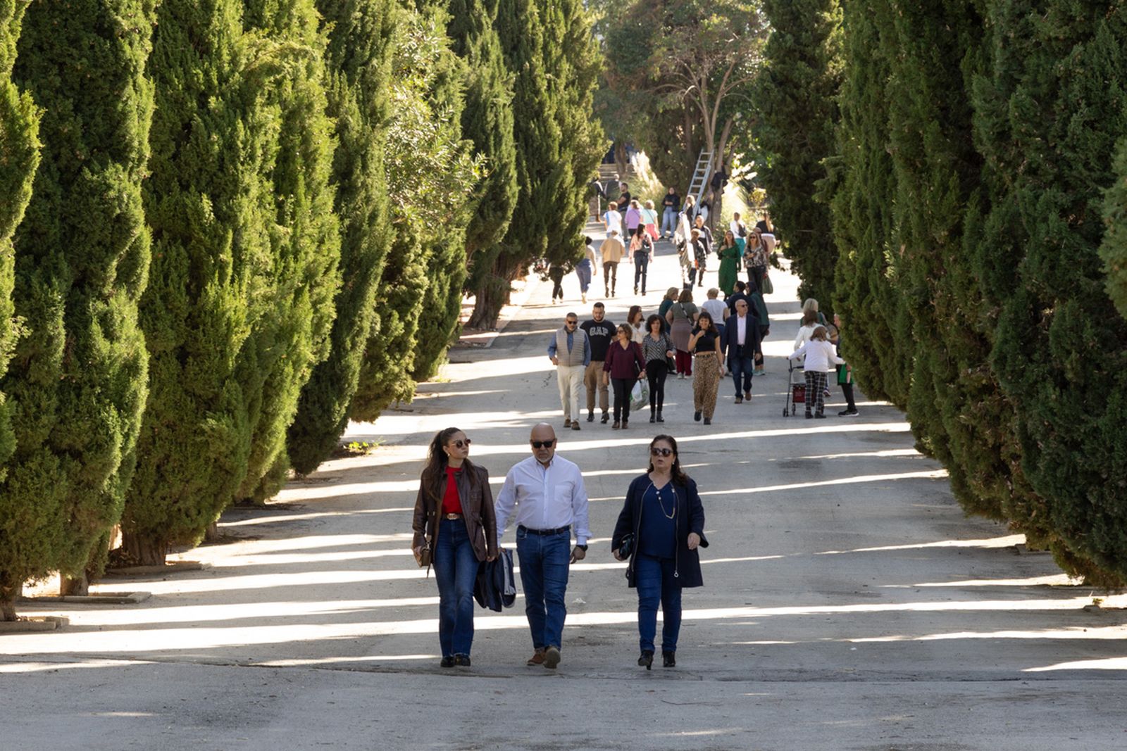 Día de Los Santos en el cementerio de San Fernando y San Eufrasio de Jaén, en imágenes