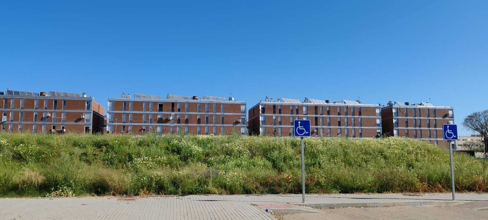 La zona sur de Jerez: ¿un campo de basura y malas hierbas?