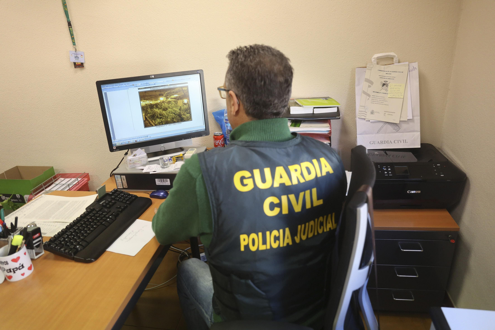 Un guardia civil observa una fotografía de las plantas intervenidas en una operación.