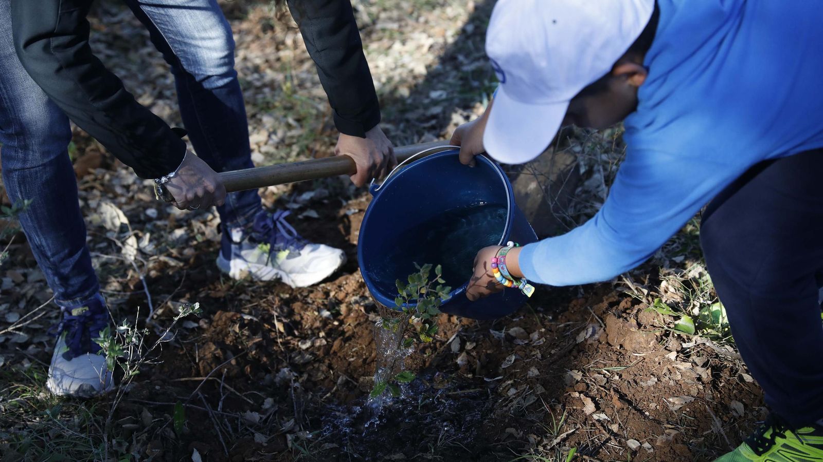Participantes en una jornada de plantación