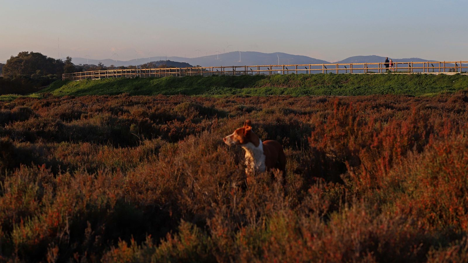 Sendero del arroyo de la Madre Vieja en San Roque