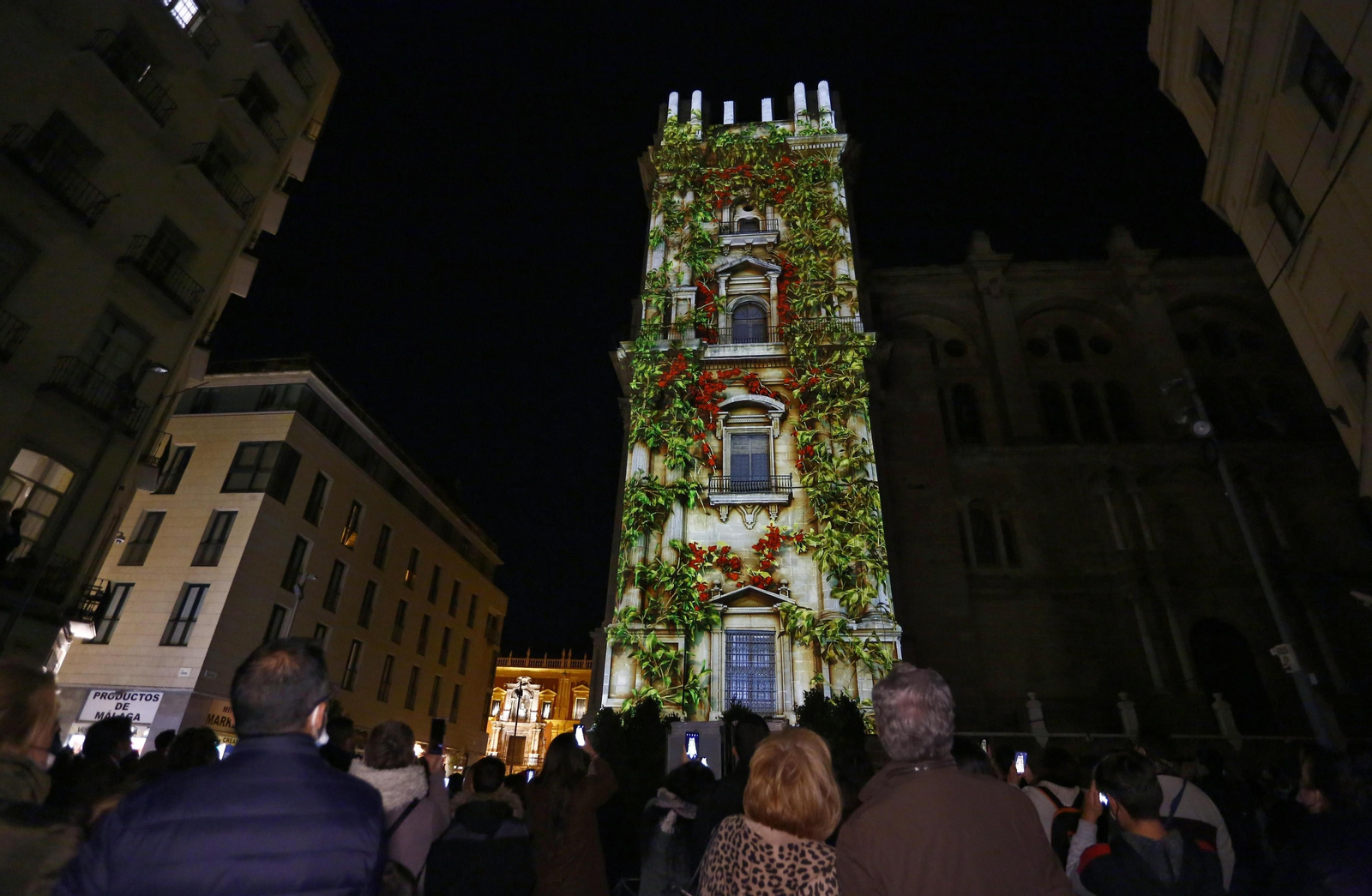 El video mapping de Navidad en la Catedral de Málaga, en fotos