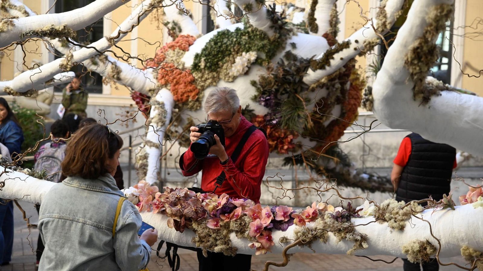 Una de las obras del Festival Flora 2024.