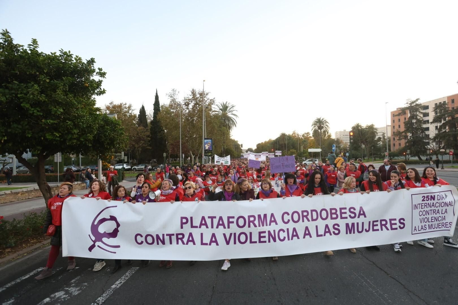 La manifestación del 25N en Córdoba, en imágenes