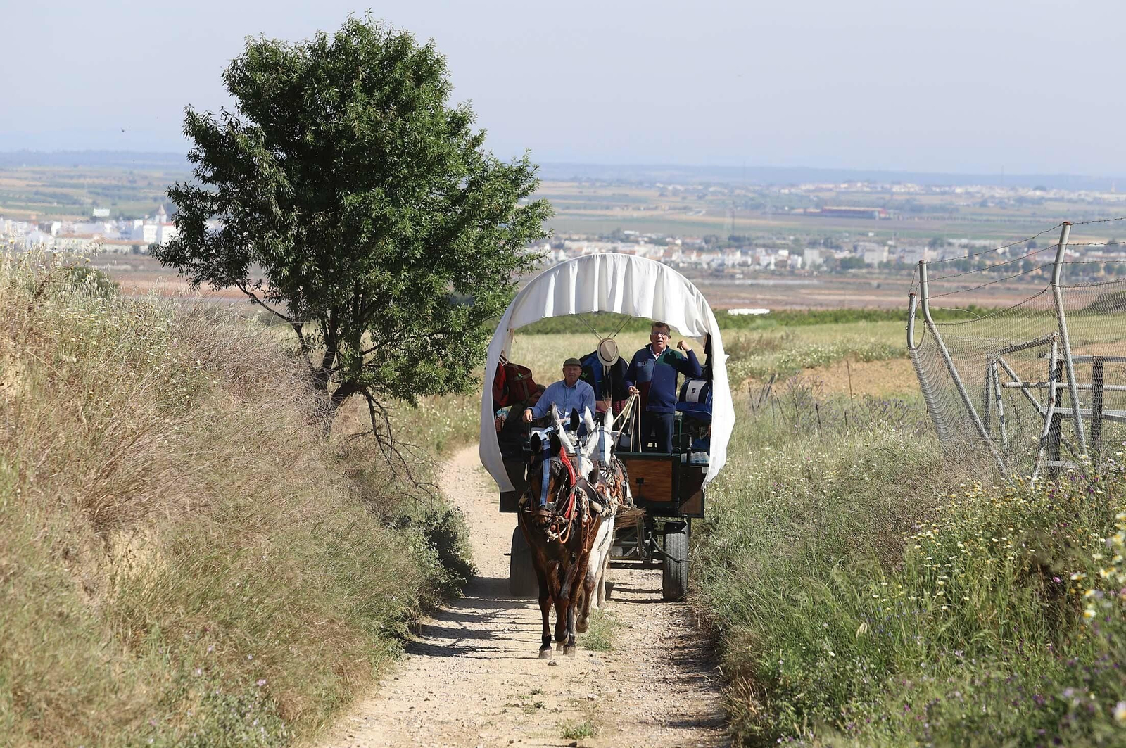 Imágenes de los presos de la cárcel de Huelva en su camino hacia El Rocío