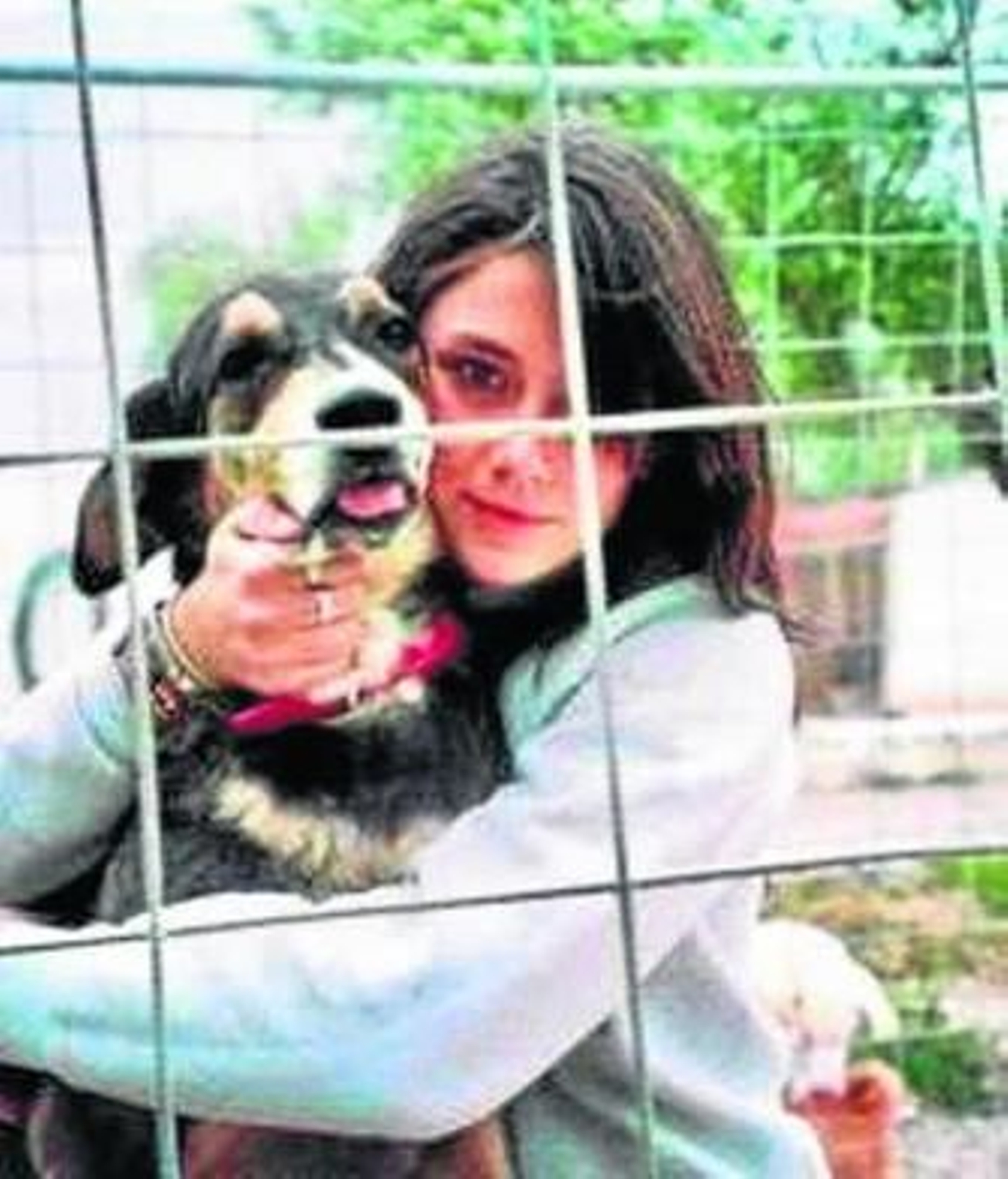 1. Una voluntaria pasea con algunos de los perros acogidos por Ladridos Vagabundos en el solar que actualmente ocupa el refugio. 2. Otra voluntaria abraza a uno de los canes que esperan una familia definitiva. 3. La pequeña Baguira. 4. Los animales caminan por el terreno. 5. Haku, un cruce de pitbull muy cariñoso. 6. Tora busca familia desde hace dos años. 1. Una voluntaria pasea con algunos de los perros acogidos por Ladridos Vagabundos en el solar que actualmente ocupa el refugio. 2. Otra voluntaria abraza a uno de los canes que esperan una familia definitiva. 3. La pequeña Baguira. 4. Los animales caminan por el terreno. 5. Haku, un cruce de pitbull muy cariñoso. 6. Tora busca familia desde hace dos años.
