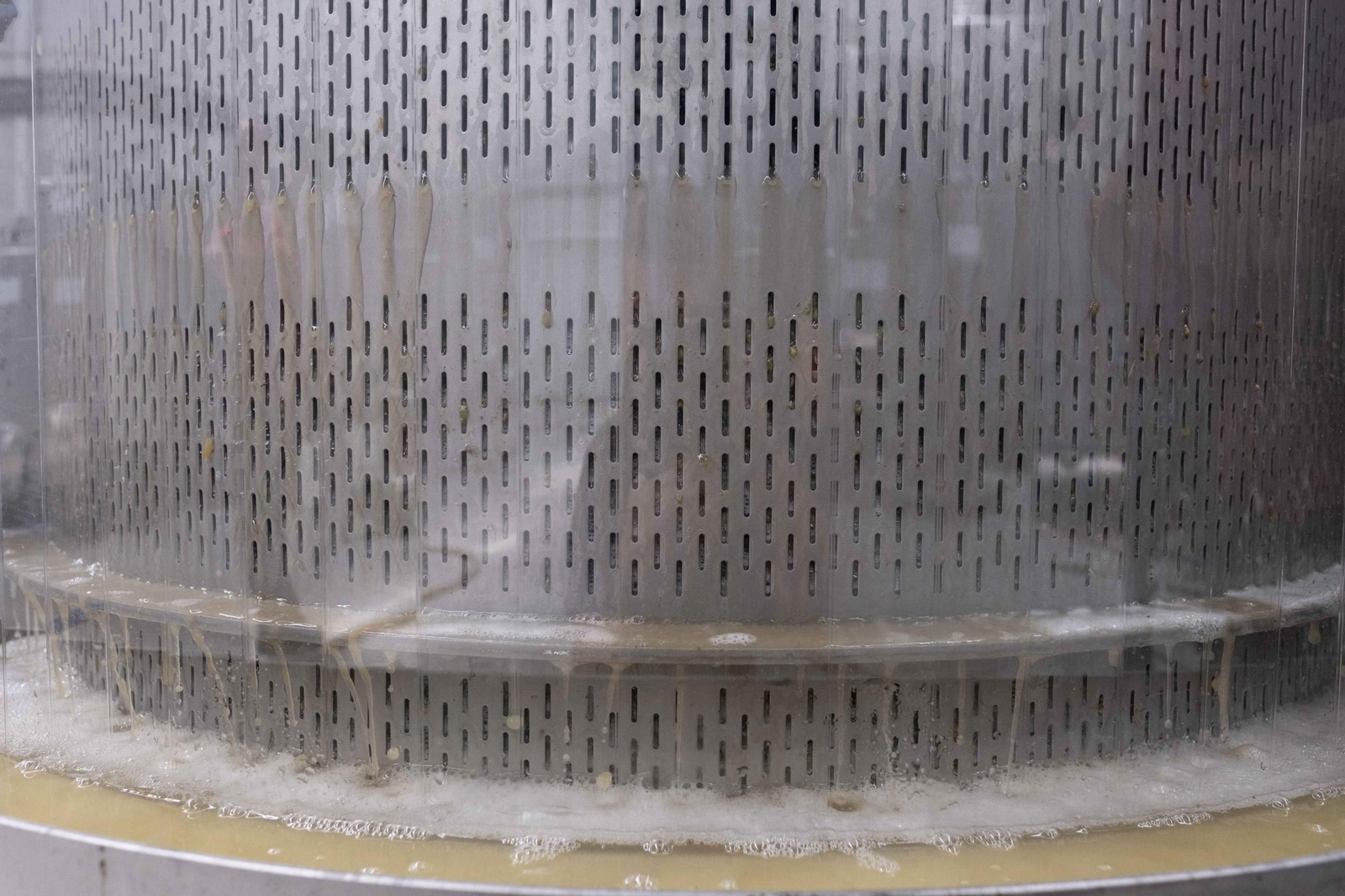 La vendimia de la Serranía, en imágenes