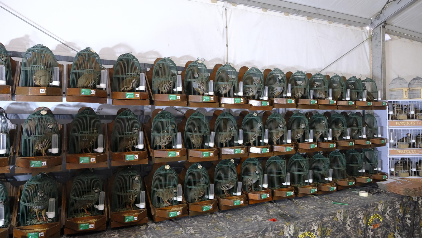 Las fotos de la Feria del Ganado y del Pájaro Perdiz en Albox