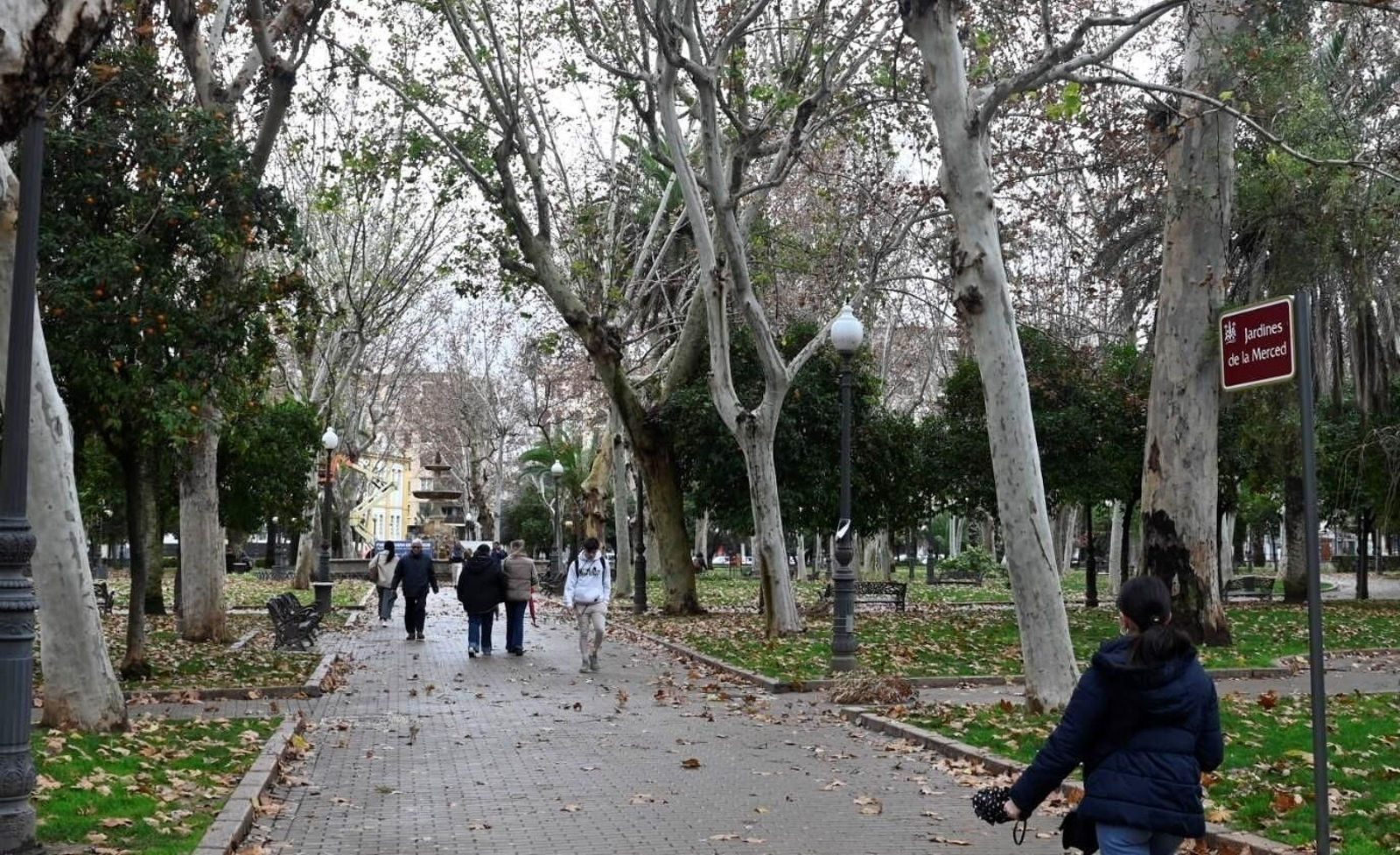 El temporal de viento y lluvia en Córdoba, en imágenes