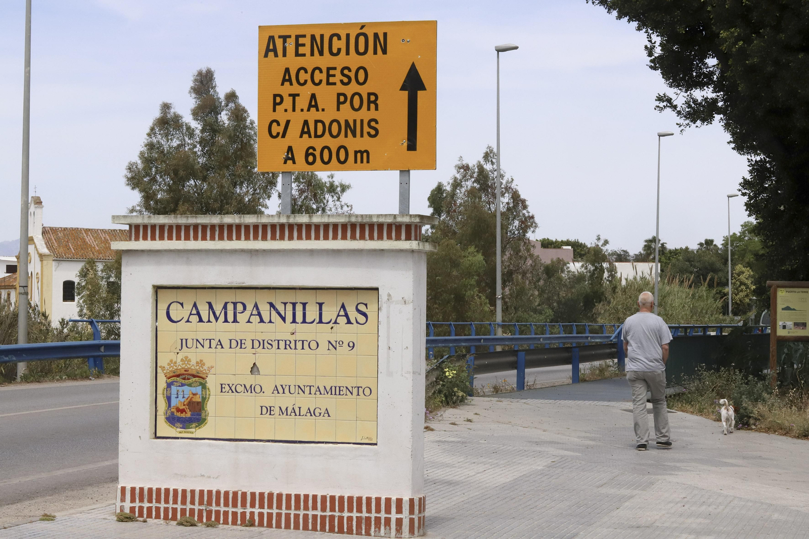 Campanillas en fotos